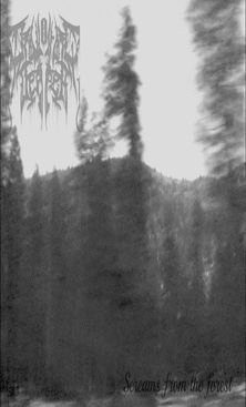 Drowning Deeper : Screams from the Forest